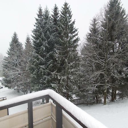 Ferienwohnung Mit Blick In Den Bayrischen Wald Oberhalb Von Sankt Engelmar Санкт-Энгльмар Экстерьер фото