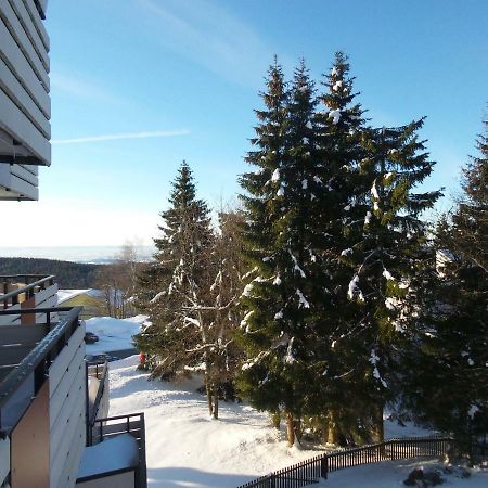 Ferienwohnung Mit Blick In Den Bayrischen Wald Oberhalb Von Sankt Engelmar Санкт-Энгльмар Экстерьер фото