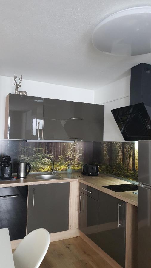 Ferienwohnung Mit Blick In Den Bayrischen Wald Oberhalb Von Sankt Engelmar Санкт-Энгльмар Экстерьер фото