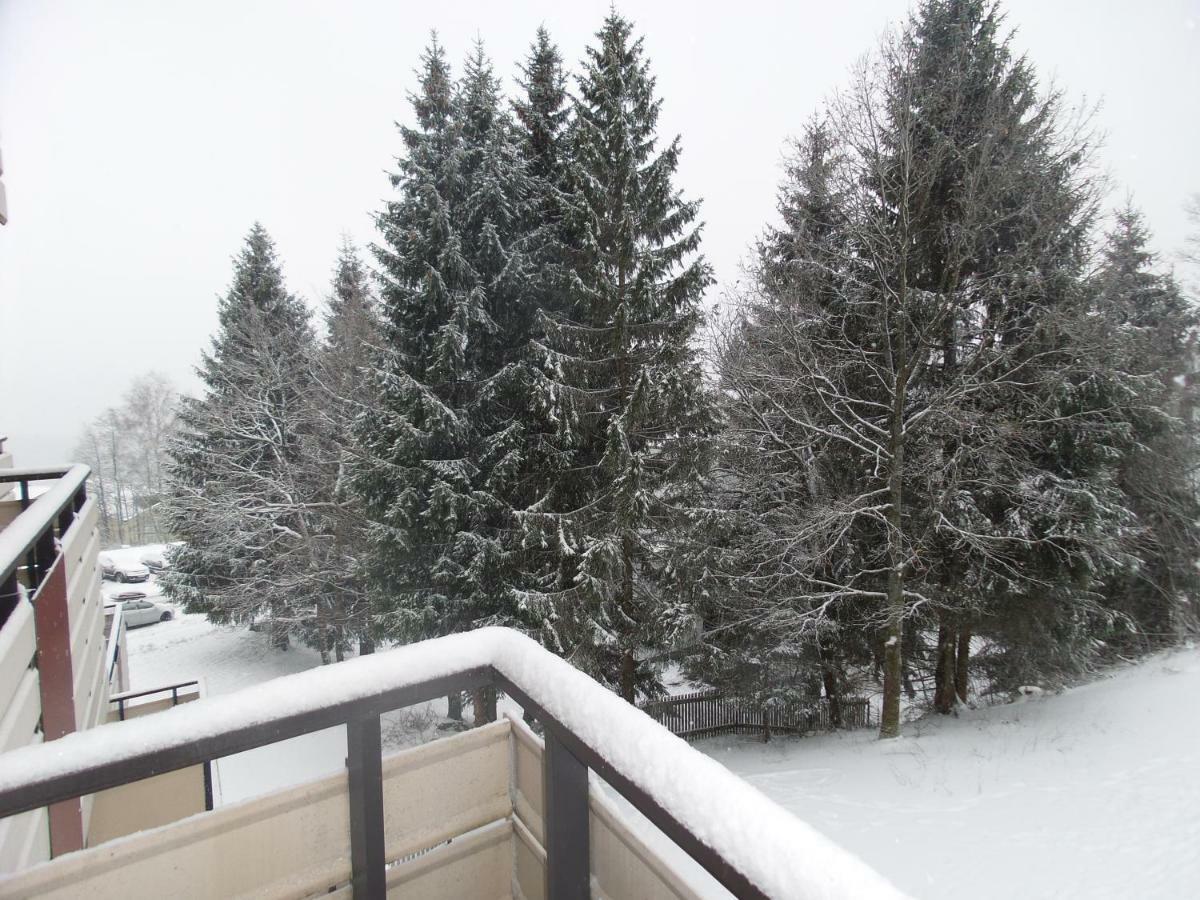 Ferienwohnung Mit Blick In Den Bayrischen Wald Oberhalb Von Sankt Engelmar Санкт-Энгльмар Экстерьер фото