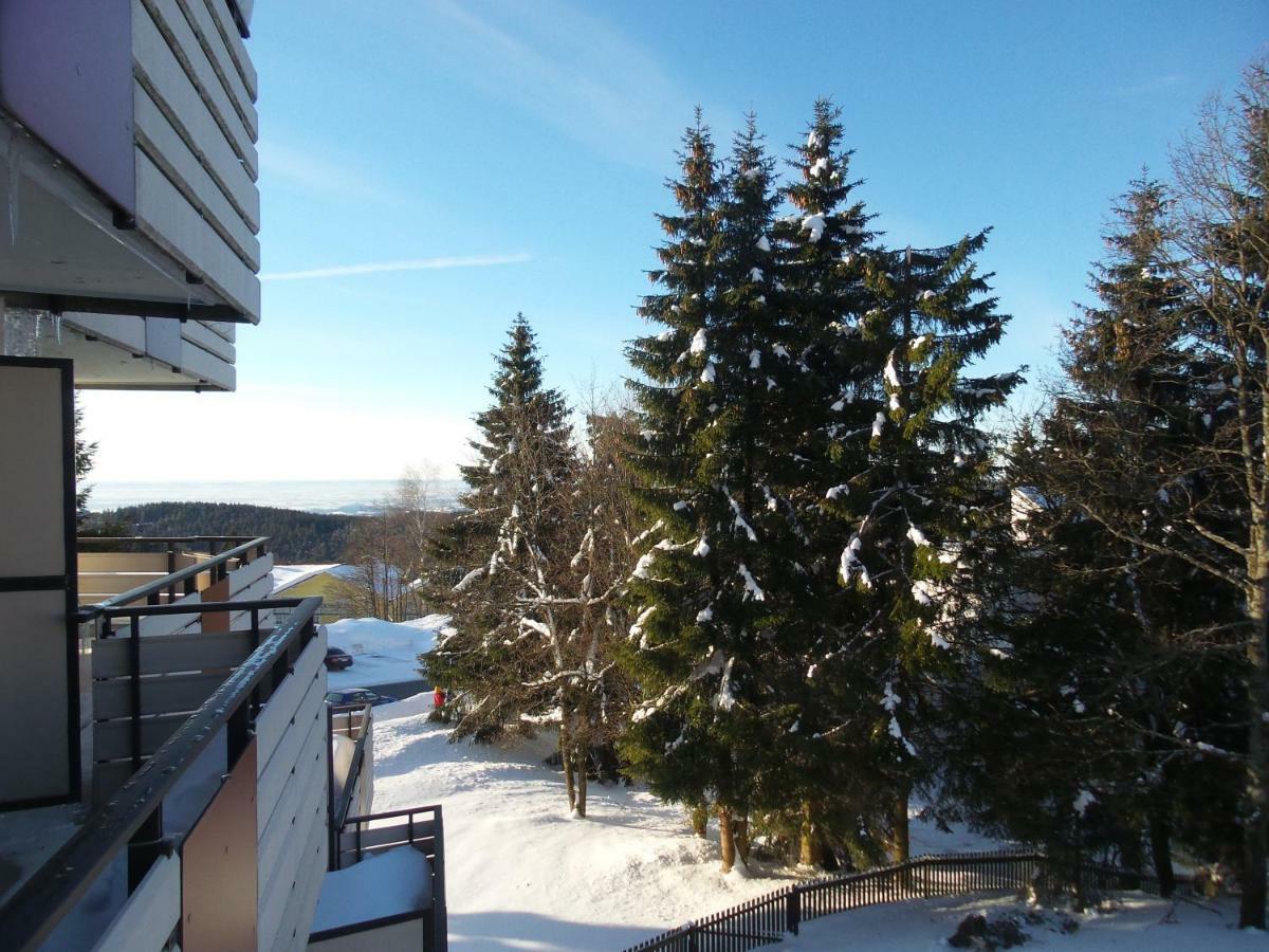 Ferienwohnung Mit Blick In Den Bayrischen Wald Oberhalb Von Sankt Engelmar Санкт-Энгльмар Экстерьер фото