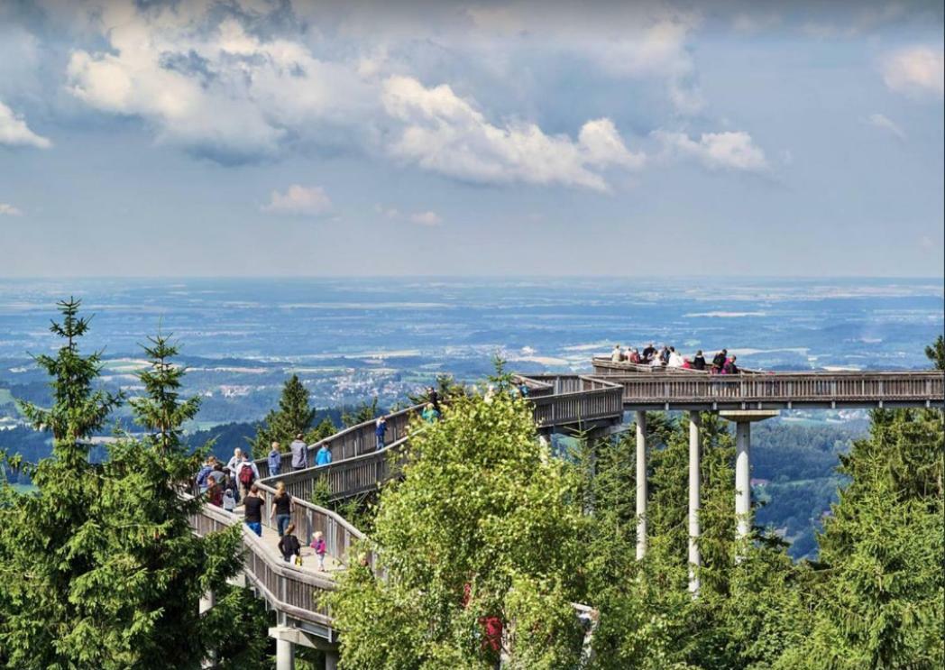 Ferienwohnung Mit Blick In Den Bayrischen Wald Oberhalb Von Sankt Engelmar Санкт-Энгльмар Экстерьер фото