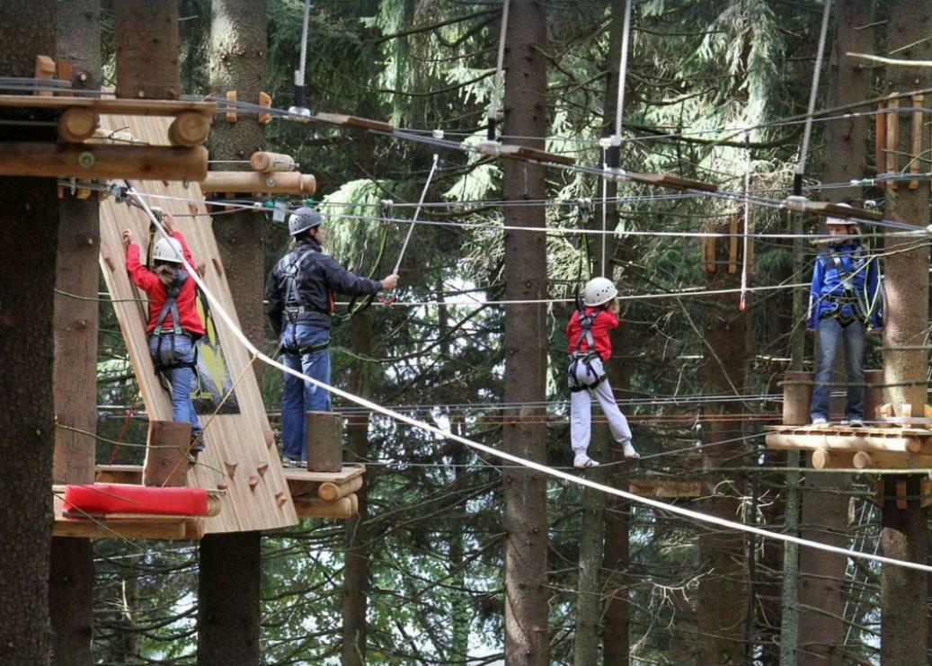 Ferienwohnung Mit Blick In Den Bayrischen Wald Oberhalb Von Sankt Engelmar Санкт-Энгльмар Экстерьер фото